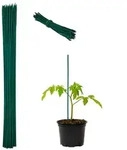 Relaxdays 100x Gr&uuml;ner Pflanzenstab 60 cm Dunkelgr&uuml;n