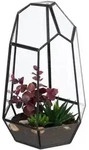 Relaxdays Geometrisches Pflanzenterrarium aus Glas Schwarz,Transparent