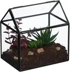 Relaxdays Pflanzenterrarium aus Glas Hausform Schwarz,Transparent