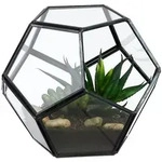 Relaxdays Geometrisches Pflanzenterrarium aus Glas Schwarz,Transparent