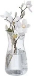 Relaxdays Blumenvase aus Glas Transparent