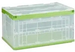 Relaxdays Transparente Transportbox mit Deckel Gr&uuml;n,Transparent