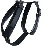 KENTUCKY DOGWEAR Hundegeschirr Activ Velvet black L