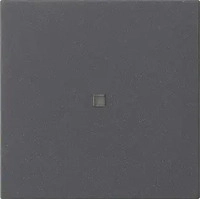 Gira 549528, Gira Funk-Bedienaufsatz 549528