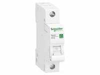 SCHNEIDER ELECTRIC R9F28116, SCHNEIDER ELECTRIC Leitungsschutzschalter R9F28116