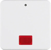Berker 155809, Berker Wippe pws 155809