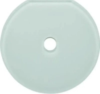 Berker 109409, Berker Glas-Endplatte Schalter 109409