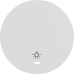 Berker 16212079, Berker Wippe pows/gl 16212079