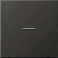 Jung FMAL1700AN, Jung eNet Funk-Steuertaste FM AL 1700 AN