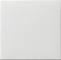 Gira 091627, Gira Wippschalter rws-matt 091627