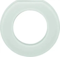 Berker 109219, Berker Glas-Endrahmen 1-fach 109219