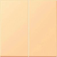 Jung LC995258, Jung Wippe 2fach LC 995 258