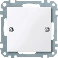 Merten 461825, Merten Blindabdeckung aws/gl 461825