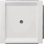 Siemens Dig.Industr 5TG13301, Siemens Dig.Industr. style Blind-Abdeckplatte...