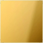 Jung GO2994B, Jung Blind-Abdeckung go GO 2994 B