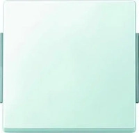 Merten 343119, Merten Wippe pws 343119