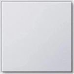 Gira 026866, Gira Blindabdeckung rws 026866