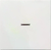 Gira 029003, Gira Wippe rws-gl 029003