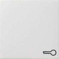 Gira 028703, Gira Wippe T&uuml;r rws-gl 028703