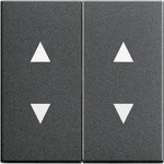 Gira 115028, Gira Wippe anth 115028