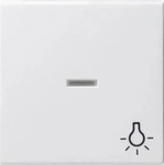 Gira 067427, Gira Wippe Licht rws 067427