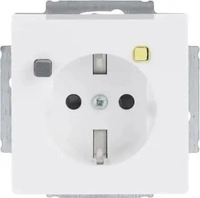 Busch-Jaeger 2CKA003116A0662, Busch-Jaeger FI-SCHUKOMAT Einsatz 3120 EUCB-84
