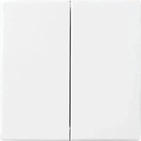 Busch-Jaeger 2CKA006730A0136, Busch-Jaeger Wippe studiowei&szlig; 6736 FoH-84