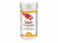 Dr. Jacob's Eisen-Phospholipid liposomal