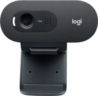 Logitech 960-001364, Logitech C505 HD Webcam USB Graphit (960-001364)