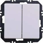 Berker 24126039, Berker 24126039 Friends of Hue Tasten mit Wippe 2-fach Q.X