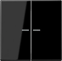 JUNG BTLS17102SW, Exklusives Angebot: Jung BTLS17102SW JUNG HOME Taster 2-fach