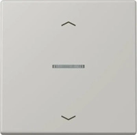 JUNG BTLC17101P205, Jung BTLC17101P205 JUNG HOME Taster 1-fach mit Pfeilsymbolen Gris