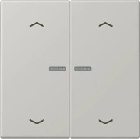 JUNG BTLC17102P205, Jung BTLC17102P205 JUNG HOME Taster 2-fach mit Pfeilsymbolen Gris
