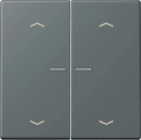 JUNG BTLC17102P202, Jung BTLC17102P202 JUNG HOME Taster 2-fach mit Pfeilsymbolen Gris