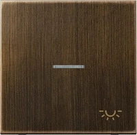JUNG ME2990KO5LAT, Jung ME2990KO5LAT Wippe m. Symbol "Licht" KO (Messing) Messing
