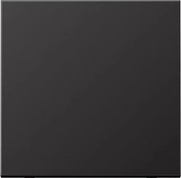 JUNG AL1700D, Jung AL1700D Steuertaste Standard (lackiertes Aluminium) Dark...