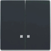 Busch-Jaeger 2CKA001751A3121, Busch-Jaeger 1785 K-81 Wippe Anthrazit...