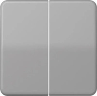 JUNG CD595BFGR, Jung CD595BFGR Wippe f. Serienschalter (Thermoplast...