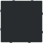 Busch-Jaeger 2CKA001710A4214, Busch-Jaeger 1742-45M Blindzentralscheibe mit...
