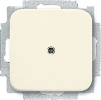 Busch-Jaeger 2CKA001715A0218, Busch-Jaeger 2538-212 Blindzentralscheibe mit Tragring