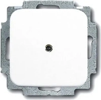 Busch-Jaeger 2CKA001715A0275, Busch-Jaeger 2538-214 Blindzentralscheibe mit Tragring