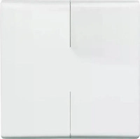 Busch-Jaeger 2CKA001731A1601, Busch-Jaeger 2105-34 Serien-Wippe (Thermoplast)
