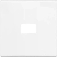 Busch-Jaeger 2CKA001731A1635, Busch-Jaeger 2120-34 Wippe offen f&uuml;r Symbol