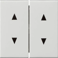 Gira 115003, Gira 115003 Wippe 2-fach Pfeilsymbole System 55 Reinwei&szlig;