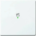 Busch-Jaeger 2CKA006220A0043, Busch-Jaeger 6233-10-84 Wippe 1-fach, mit Symbol