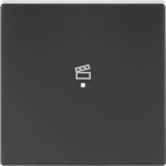 Busch-Jaeger 2CKA006220A0041, Busch-Jaeger 6233-10-81 Wippe 1-fach, mit Symbol