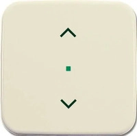 Busch-Jaeger 2CKA006220A0081, Busch-Jaeger 6232-10-212 Wippe 1-fach, mit Symbol
