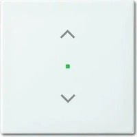 Busch-Jaeger 2CKA006220A0357, Busch-Jaeger 6232-10-914 Wippe 1-fach, mit Symbol