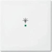 Busch-Jaeger 2CKA006220A0356, Busch-Jaeger 6231-10-914 Wippe 1-fach, mit Symbol