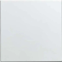 Busch-Jaeger 2CKA001582A0401, Busch-Jaeger 1576 C-914 Blindzentralscheibe